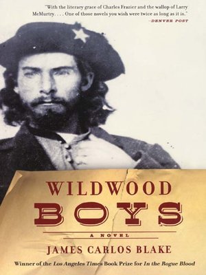Wildwood Boys - ebook